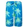 Hurley boys Pull on Swim Trunks, Blue Palms, Medium US view 1