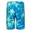 Hurley boys Pull on Swim Trunks, Blue Palms, Medium US view 2