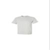Gildan T-Shirt Ultra Cotton (2-Pack)(Ash Grey) view 1