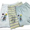 LOREZA  5 Boys Cotton Boxer Shorts Underpants (4-5 years), Type 3 view 4