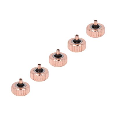 Watch Stem Extender, 5 X Rose Gold Steel Watch Crown Parts Replacement Watch Replacement Parts Easy Install for Home Use, Watch Shop(6mm Long Hole)