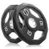 Philosophy Gym Set of 2 Rubber Coated 2-inch Olympic Grip Weight Plates (10 LB each) for Weightlifting view 1