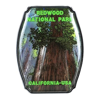 Collectible Novelty Pin for Backpack, Scarf - Made From Jeweler Class Metal - Spartan and the Green Egg Explorer Pin Series: Redwood National Park - California, USA (634)