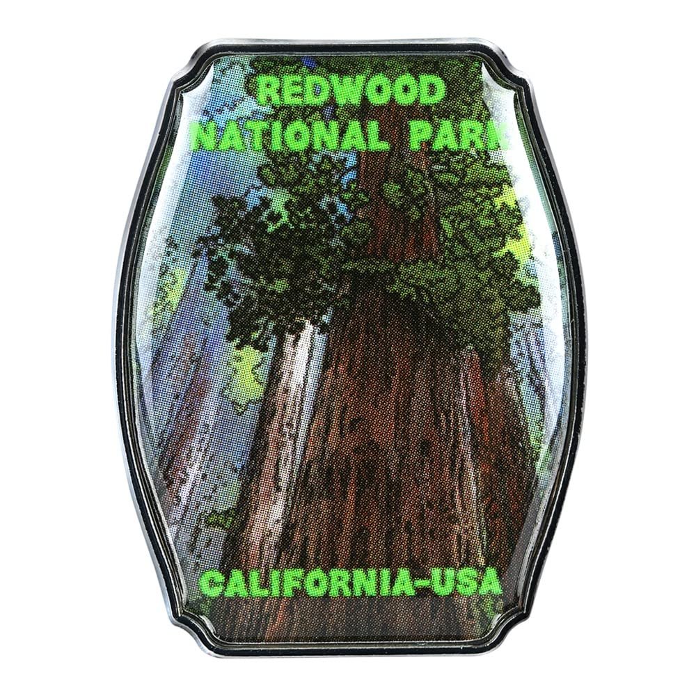 Collectible Novelty Pin for Backpack, Scarf - Made From Jeweler Class Metal - Spartan and the Green Egg Explorer Pin Series: Redwood National Park - California, USA (634)