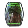 Collectible Novelty Pin for Backpack, Scarf - Made From Jeweler Class Metal - Spartan and the Green Egg Explorer Pin Series: Redwood National Park - California, USA (634) view 1