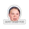 Greta How Dare You Vinyl Sticker Decal (2.5" x 3") | Peel & Stick | Funny, Humor, Gift, Political, Trump, Pro-Trump, Global Warming, Climate Change view 1