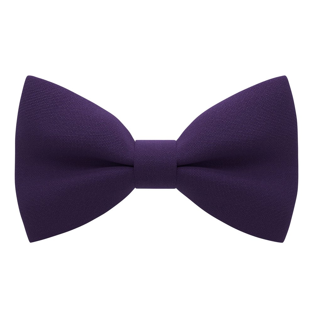 Bow Tie House Babies Classic Pre-Tied Bow Tie Formal Solid Tuxedo Bowtie (Small, Eggplant)