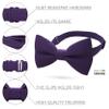 Bow Tie House Babies Classic Pre-Tied Bow Tie Formal Solid Tuxedo Bowtie (Small, Eggplant) view 2