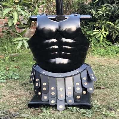 Nautical-Mart Medieval Armor Spartan Muscle Armor Breastplate Armor Helmet Roman Warriors Costume (Only Muscle Armor)