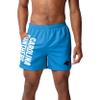 Carolina Panthers NFL Mens Solid Wordmark Swimming Trunks view 2