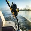 Tigress Coiled Safety Tether, Durable UV Resistant 630 Pound Tether Keeps Valuable Fishing Equipment Tethered to The Boat view 2