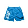 Carolina Panthers NFL Mens Solid Wordmark Swimming Trunks view 4