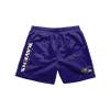 Baltimore Ravens NFL Mens Solid Wordmark Swimming Trunks view 2