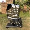 Nautical-Mart Medieval Roman King Leonidas 300 Spartan Helmet W/Red Plume + Muscle Body Armor Cuirass + Shield + Leg Or Arm Guard Silver Halloween Costume (Muscle Armor) view 2