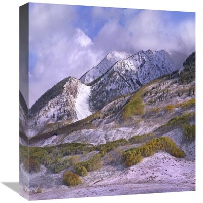 16 in. Elk Mountains with Snow in Autumn, Colorado Art Print - Tim Fitzharris