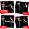 PROLAST Punching Bag for Experienced and Beginners, Boxing, MMA, Martial Arts, Muay Thai Training Equipment, Hanging, Filled, 3ft, 50 lbs, Rhino Logo, Black/Gray view 2