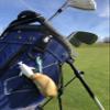 Squishtee Holder Golf Bag Soft, Foam assecory/Keychain That can Carry up to 4 SQUISHTEES and Traditional Golf tees can Clip onto Your Golf Bag. view 4