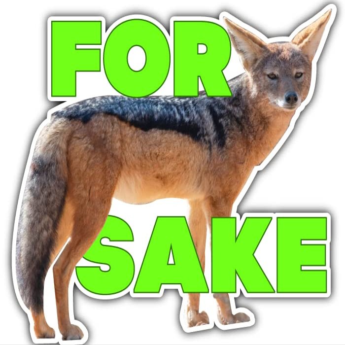 for Fox Sake Decal/Sticker - Mordern Animal Art - 3.75 x 4 - for Car, Truck, Laptop - Funny