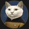 Star Trek Girl's Data Cat T-Shirt, Black, Medium view 2