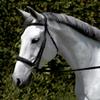 Wonder Care Top Grain Cowhide Leather English Bridle Snaffle Horse Bridle Noseband with Browband Horse Bit Bridle with Reins Bridles for Horses view 2
