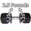 July Body 1.25 Pound Weight Clips  Adds 2.5 Total Pounds - 1.25 Weight - Dumbbell Add Weight - Dumbbell Weight Clips - Weight Clip - Fractional Weight Plates (2 Clip Pack) view 2