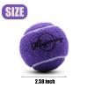 Magicorange Tennis Balls, 12 Pack Advanced Training Tennis Balls Practice Balls, Pet Dog Playing Balls, Come with Mesh Bag for Easy Transport, Good for Beginner Training Ball (Purple) view 2