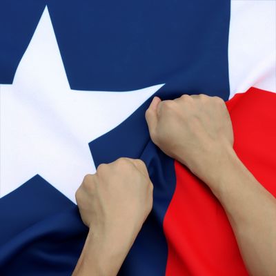 Anley Rip-Proof Double Sided 3-Ply Texas State Flag 3x5 Foot - Vivid Color, Canvas Header and Wrinkle Resistant - The Strongest, Longest Lasting Lone Star Flags 3 X 5 Ft