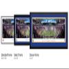 La Rams, 2022 Super Bowl Champions - Unframed 40 x 13.5 Poster by Blakeway Panoramas view 3