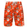 Cleveland Browns NFL Mens Americana Boardshorts Version 2 view 1