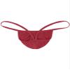 Fldy Men's Stretch G-String Thongs Micro Pouch Bugle Enhancing Pants Tanga Knickers Underwear Wine Red XX-Large view 4