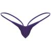 Fldy Men's Stretch G-string Thongs Micro Pouch Bugle Enhancing Pants Tanga Knickers Underwear Purple X-Large view 1