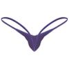 Fldy Men's Stretch G-string Thongs Micro Pouch Bugle Enhancing Pants Tanga Knickers Underwear Purple X-Large view 2