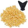 Wobe 200 Pcs 1/4" Stainless Steel Track & Cross Country Spikes with Spike Wrench, Shoe Replacement Spikes for Sprinting, Sports & Running Shoes (Gold, 1/4 Inch) view 1