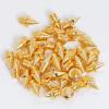 Wobe 200 Pcs 1/4" Stainless Steel Track & Cross Country Spikes with Spike Wrench, Shoe Replacement Spikes for Sprinting, Sports & Running Shoes (Gold, 1/4 Inch) view 4