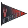 Toronto Raptors Pennant WE THE NORTH Felt 12x30 Inch view 1