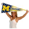 Michigan Team University Wolverines Nation USA Stars and Stripes Pennant Pennant Banner Flag view 4