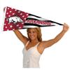 Arkansas Razorbacks Nation USA Stars and Stripes Pennant Pennant Banner Flag view 4