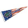 Florida Gators Nation USA Stars and Stripes Pennant Pennant Banner Flag view 1