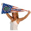 Florida Gators Nation USA Stars and Stripes Pennant Pennant Banner Flag view 4