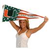 Hurricanes Nation USA Stars and Stripes Pennant Pennant Banner Flag view 4