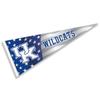 Kentucky Wildcats Nation USA Stars and Stripes Pennant Pennant Banner Flag view 1
