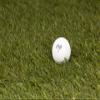 Clean Green Golf Balls Recycled Used Vice Golf Ball Mix - Good Condition Graded Balls - Includes GolfBalls and Mesh Carrying Bag (48) view 3