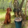 AUSCAMOTEK Swivel Bucket Lid Seat with Padded Cushion Camo Pail Top Cushion for Hunting Fishing Gardening-Duck Blind view 4