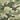 Time and Tru Women's Elbow Length Sleeve T-Shirt (Small,Green Camo),4-6