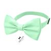 Adam Young Boy's Green Mint Bow Tie Pre-Tied Style Formal Satin Classic Bowtie for Tuxedo Faux Silk (Medium, Mint) view 2