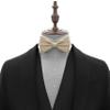 Adam Young Men's Beige Bow Tie Pre-Tied Style Formal Satin Classic Bowtie for Tuxedo Faux Silk (Large, Champagne) view 4