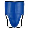 PFG Winning Groin Protectors - Boxing MMA Muay Thai Training Protection (Blue, S/M) view 1
