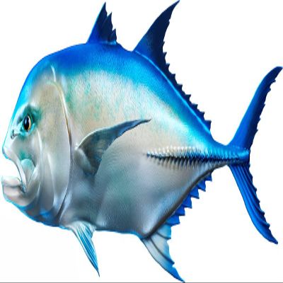 Giant Trevally Beautiful Fish Decal | Fishing decal for Boat, Car, Vehicle, Truck Etc | Waterproof Vinyl Sticker | Many Sizes & Styles Available | 12" to 40" By Digital Fish Art (X-Large, Position 4R)