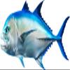 Giant Trevally Beautiful Fish Decal | Fishing decal for Boat, Car, Vehicle, Truck Etc | Waterproof Vinyl Sticker | Many Sizes & Styles Available | 12" to 40" By Digital Fish Art (X-Large, Position 4R) view 1