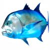 Giant Trevally Beautiful Fish Decal | Fishing Decal for Boat, Car, Vehicle, Truck Etc | Waterproof Vinyl Sticker | Many Sizes & Styles Available | 12" to 40" by Digital Fish Art (X-Large, Position 6) view 1